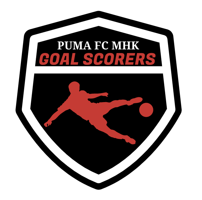 Puma 2025 fc website